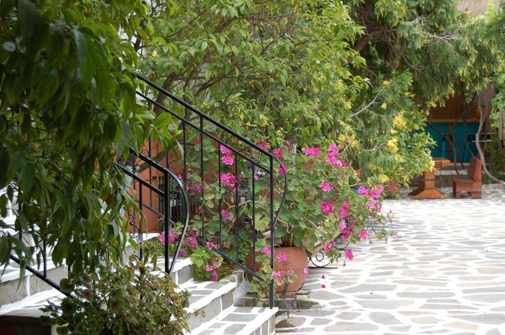 סיבוטה Hotel Villa Marie מראה חיצוני תמונה