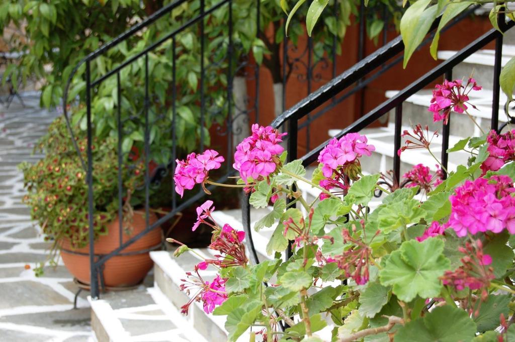 סיבוטה Hotel Villa Marie מראה חיצוני תמונה